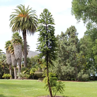 stratum title management tassie